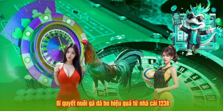 Cách Nuôi Gà Đá Bo – Bí Quyết Tạo Nên Chiến Kê Đỉnh Cao 2 Bí quyết nuôi gà đá bo hiệu quả từ nhà cái 123B