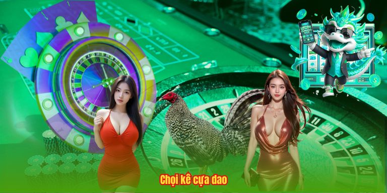 Đá Gà SV368 – Đấu Trường Chọi Kê Đẳng Cấp Châu Á 4 Chọi kê cựa dao