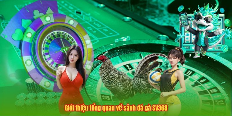 Đá Gà SV368 – Đấu Trường Chọi Kê Đẳng Cấp Châu Á 2 Giới thiệu tổng quan về sảnh đá gà SV368