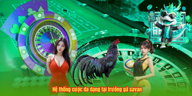 Trường Gà Savan – Đỉnh Cao, Nghệ Thuật Chọi Kê Chuyên Nghiệp 3 Hệ thống cược đa dạng tại trường gà savan
