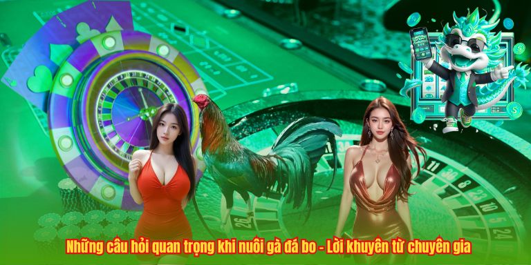 Cách Nuôi Gà Đá Bo – Bí Quyết Tạo Nên Chiến Kê Đỉnh Cao 4 Những câu hỏi quan trọng khi nuôi gà đá bo – Lời khuyên từ chuyên gia
