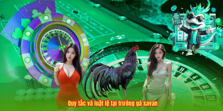 Trường Gà Savan – Đỉnh Cao, Nghệ Thuật Chọi Kê Chuyên Nghiệp 2 Quy tắc và luật lệ tại trường gà savan